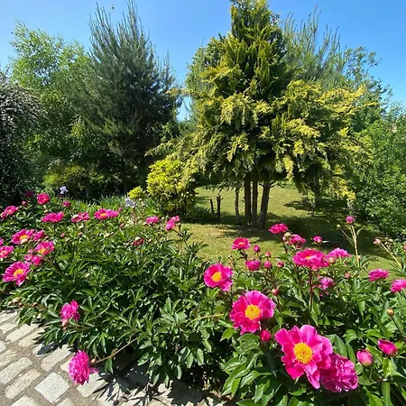 La Loupiote - Jacuzzi Compris Sans Supplement ! Lupcourt